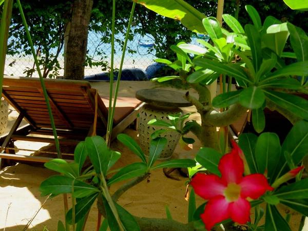 danh-sach-homestay-quy-nhon-phai-note-ngay-cho-chuyen-di-sap-toi-ivivu-19