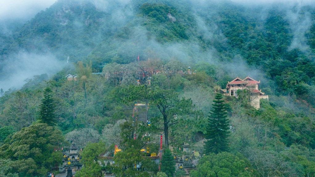 Rừng Yên Tử đa dạng sinh học. Ảnh: Báo Quảng Ninh.