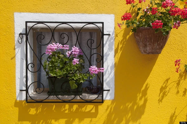  Không chỉ là màu sơn tường, mỗi căn nhà nơi đây luôn được chủ nhân cầu kỳ trang trí bằng các chậu hoa, thường thì màu của hoa và cây cảnh luôn cùng với tông màu của căn nhà đó. Ảnh: Huffingtonpost.com