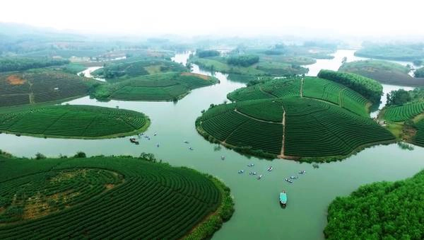 Từ trên cao, vẻ đẹp của đảo chè xã Thanh An, Thanh Chương, Nghệ An mới hiện lên rõ nét. Trong đó, nơi thu hút nhiều du khách nhất là khu vực đập Cầu Cau.