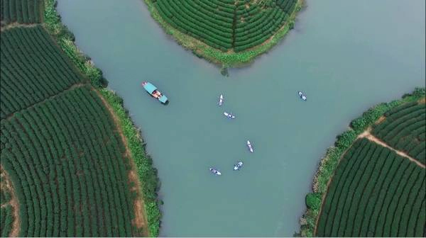 Loại hình du lịch được yêu thích ở đây là đi thuyền tham quan các đảo. Với cảnh sắc hữu tình, nhiều người còn ví các đảo chè Cầu Cau như Hạ Long trên cạn của xứ Nghệ.