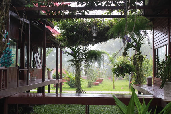 Nghỉ qua đêm tại chùa, bạn sẽ có thêm thời gian tận hưởng không khí yên tĩnh nơi đây. Nghỉ qua đêm tại chùa, bạn sẽ có thêm thời gian tận hưởng không khí yên tĩnh nơi đây.
