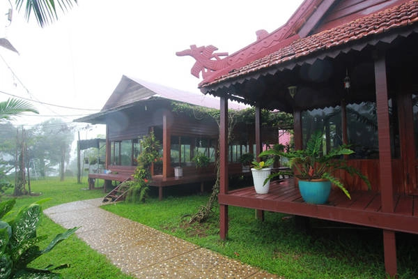 Xung quanh khuôn viên chùa là những nương chè thẳng tấp, ẩn hiện trong màn sương. Một nơi chốn bình yên, thanh tĩnh. Xung quanh khuôn viên chùa là những nương chè thẳng tấp, ẩn hiện trong màn sương. Một nơi chốn bình yên, thanh tĩnh.