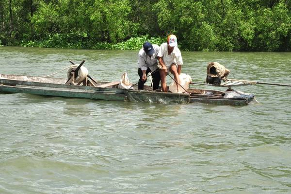 Bạn sẽ được tận mắt chứng kiến cảnh hoạt động của người dân bắt ốc gạo tại khu du lịch Ba Ngói. Ảnh: youTube