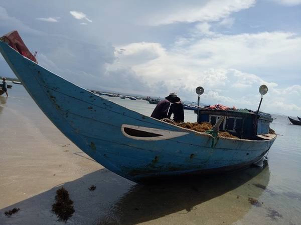 Ở lại một ngày trên hòn đảo mới trải nghiệm được hết những điều thú vị mà thiên nhiên dành tặng cho nơi này. Du khách có thể đặt phòng nghỉ giá 100.000 đồng một đêm, ngắm bình minh trên biển vào sáng hôm sau và trải nghiệm đánh bắt cùng ngư dân. Ở lại một ngày trên hòn đảo mới trải nghiệm được hết những điều thú vị mà thiên nhiên dành tặng cho nơi này. Du khách có thể đặt phòng nghỉ giá 100.000 đồng một đêm, ngắm bình minh trên biển vào sáng hôm sau và trải nghiệm đánh bắt cùng ngư dân.