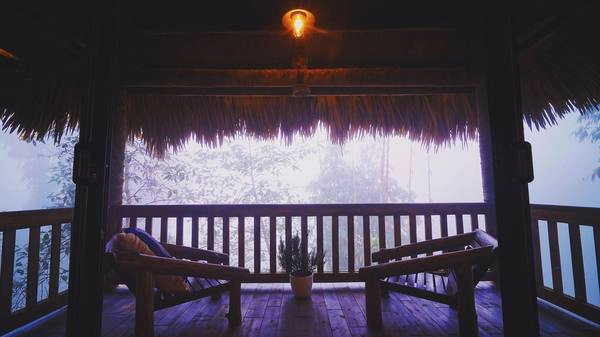 Ảnh: Jade Hill
