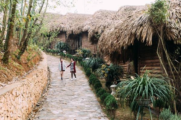 Ảnh: Jade Hill