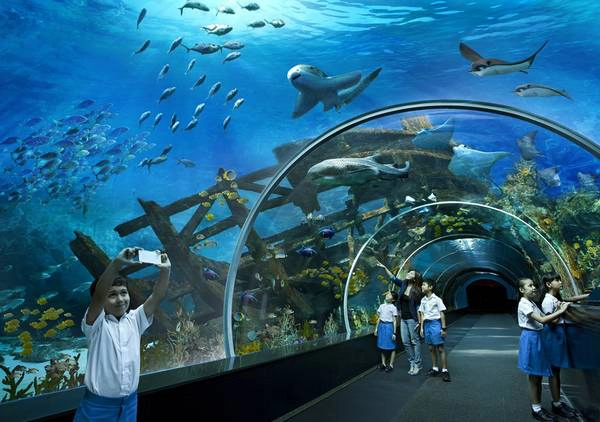 “Bể cá khổng lồ” S.E.A Aquarium với tấm kính lớn nhất thế giới, rộng 36 mét và cao 8,3 mét. Ảnh: guidetrip “Bể cá khổng lồ” S.E.A Aquarium với tấm kính lớn nhất thế giới, rộng 36 mét và cao 8,3 mét. Ảnh: guidetrip