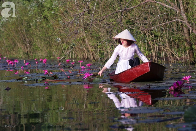 Những thiếu nữ ngồi trên chiếc thuyền nhỏ trên dòng suối đầy nắng thu và màu tím của hoa tạo nên một bức tranh thật dịu dàng, yên bình.