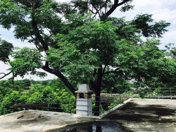 Ảnh: Ngô Diệu Hảo Ảnh: Ngô Diệu Hảo