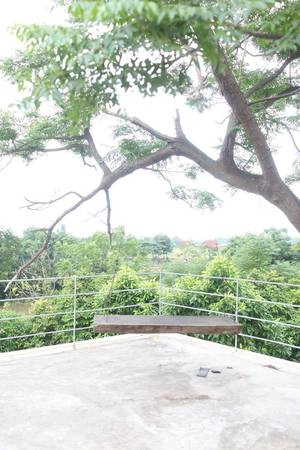Ảnh: Phơri's House Ảnh: Phơri's House