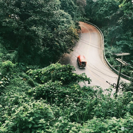 ...những núi, những đồi , những khu rừng xanh ngắt