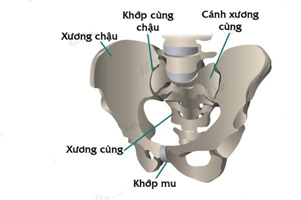 đau xương chậu khi mang thai