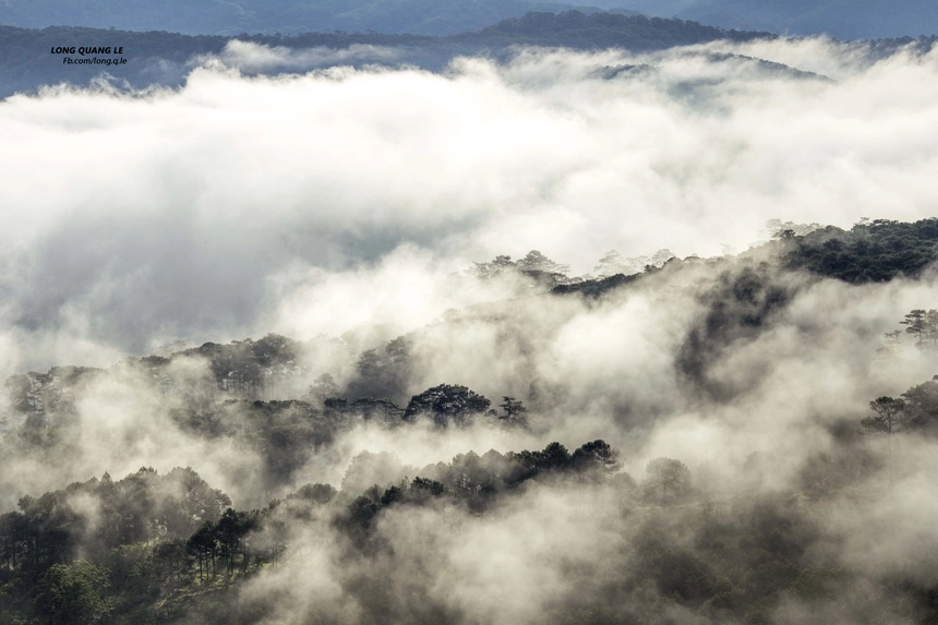 day-tu-3h-sang-san-bien-may-phu-kin-da-lat-ivivu-11