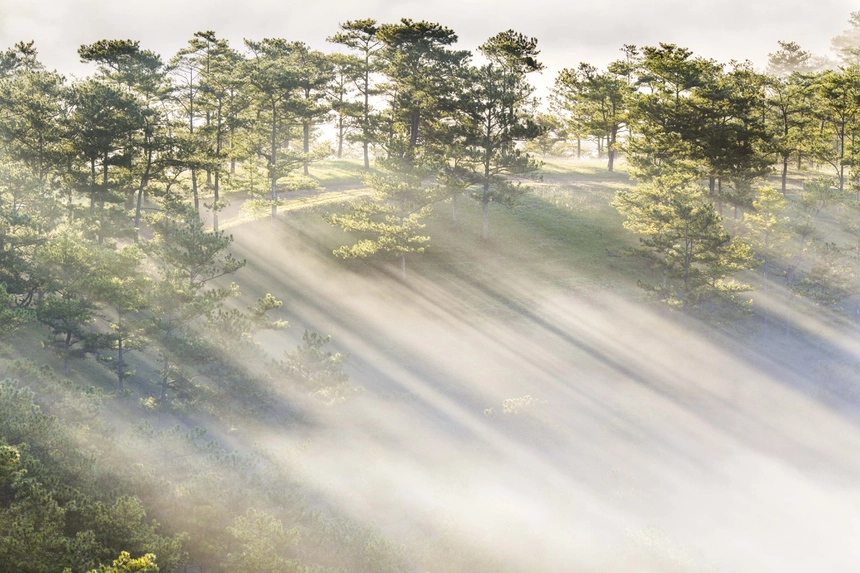 day-tu-3h-sang-san-bien-may-phu-kin-da-lat-ivivu-13