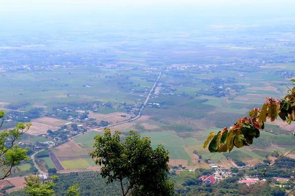 Cảnh sắc miền thôn quê Tây Ninh.