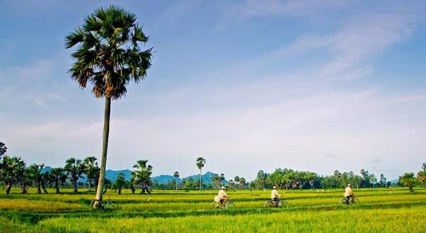 Khung cảnh làng quê sông nước yên bình
