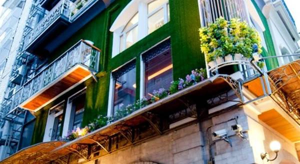 Cửa sổ của hostel được điểm xuyến với nhiều sắc hoa khác nhau. Cửa sổ phòng nghỉ được điểm xuyến với rất nhiều loài hoa khác nhau.
