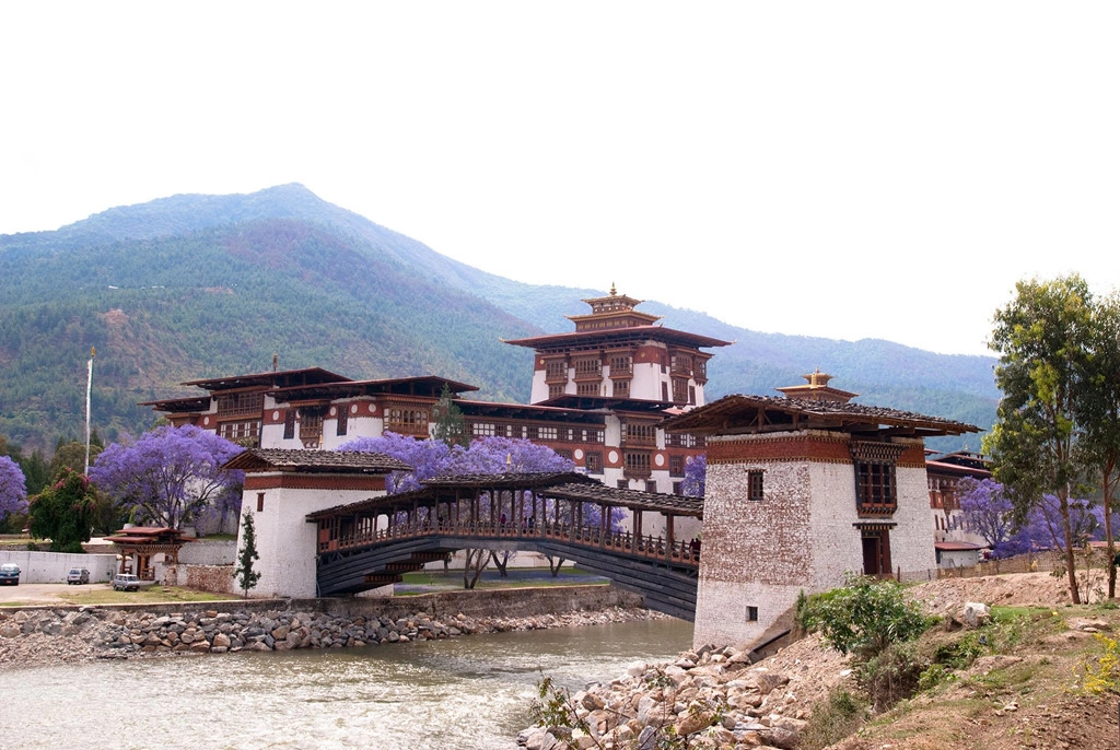 Cung điện Punakha được bao quanh bởi dòng sông trong vắt và nối với đất liền bằng một cây cầu gỗ xinh đẹp. Bên dòng sông, hàng phượng tím biếc in bóng dưới mặt hồ sẽ khiến bạn ngỡ như mình đang lạc giữa chốn thiên đường nơi hạ giới. Ảnh: Shin--k.