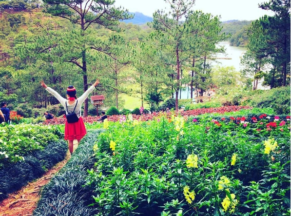 Ảnh: langocmai_90 Ảnh: langocmai_90