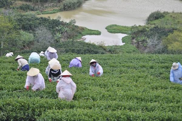 Bên cạnh là hồ Phát Chi thanh bình.