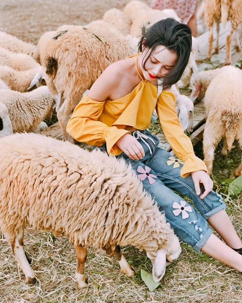 den-dong-cuu-ninh-thuan-de-co-bo-anh-tren-thao-nguyen-doc-la-ivivu-1