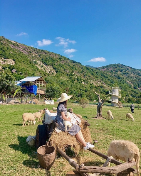 den-dong-cuu-ninh-thuan-de-co-bo-anh-tren-thao-nguyen-doc-la-ivivu-8
