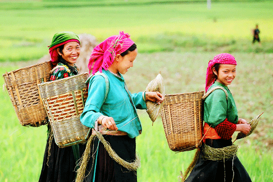 Phụ nữ Hà Giang - iVIVU.com