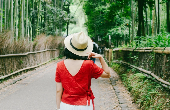 Rừng tre Sagano trở thành biểu tượng của du lịch Kyoto. Ảnh: Nguyên Chi Rừng tre Sagano trở thành biểu tượng của du lịch Kyoto. Ảnh: Nguyên Chi