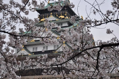le-hoi-xuan-he-osaka-nhat-ban-2015-ivivu-2
