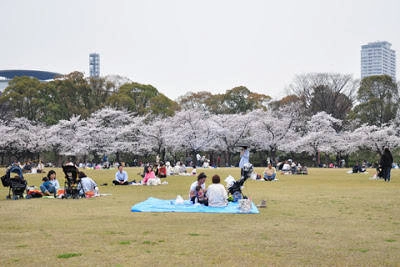 Dưới tiết trời mùa xuân ấm áp, nhiều gia đình tổ chức đi picnic, du xuân. le-hoi-xuan-he-osaka-nhat-ban-2015-ivivu-5