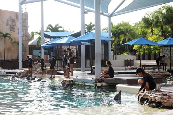 den-resorts-world-sentosa-dung-quen-trai-nghiem-tai-dao-ca-heo-day-thu-vi-ivivu-1
