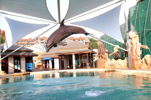 den-resorts-world-sentosa-dung-quen-trai-nghiem-tai-dao-ca-heo-day-thu-vi-ivivu-2