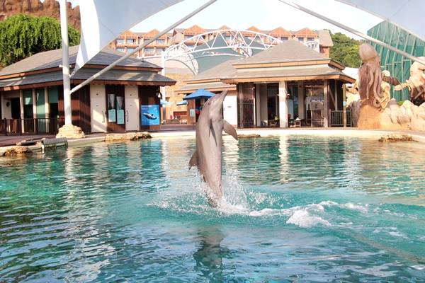 den-resorts-world-sentosa-dung-quen-trai-nghiem-tai-dao-ca-heo-day-thu-vi-ivivu-5