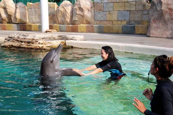 den-resorts-world-sentosa-dung-quen-trai-nghiem-tai-dao-ca-heo-day-thu-vi-ivivu-6