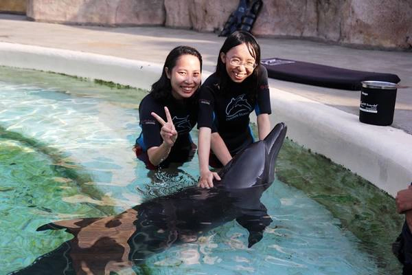 den-resorts-world-sentosa-dung-quen-trai-nghiem-tai-dao-ca-heo-day-thu-vi-ivivu-7