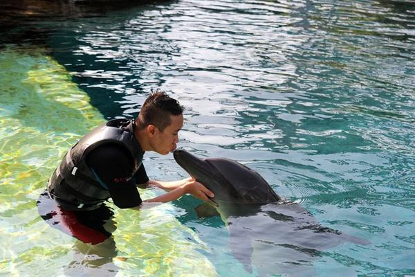 den-resorts-world-sentosa-dung-quen-trai-nghiem-tai-dao-ca-heo-day-thu-vi-ivivu-9