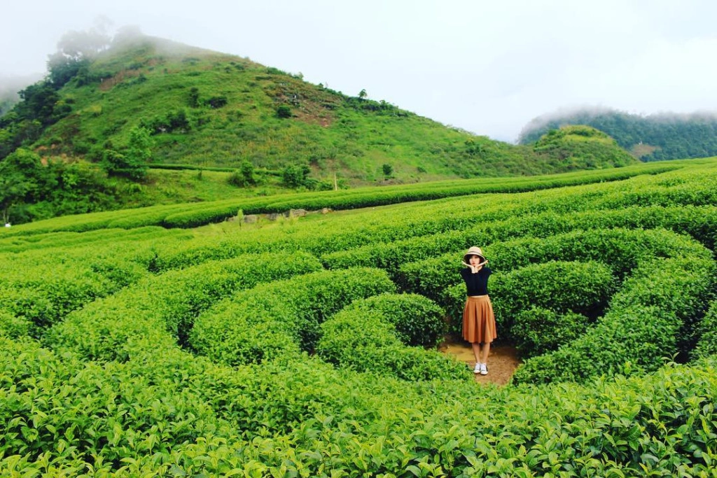 Đồi chè trái tim: Mộc Châu còn cuốn hút du khách với những đồi chè xanh mướt trong tiết xuân hay trơ trụi vào mùa đông nhưng vẫn quyến rũ đến lạ kỳ. Đặc biệt, đồi chè hình trái tim ở nơi đây biểu trưng cho sức sống và tình yêu, được bà con nông trường khéo léo tạo thành và trở thành điểm đến ấn tượng với du khách gần xa. Ảnh: @haipham_haipham , @_lyly____.