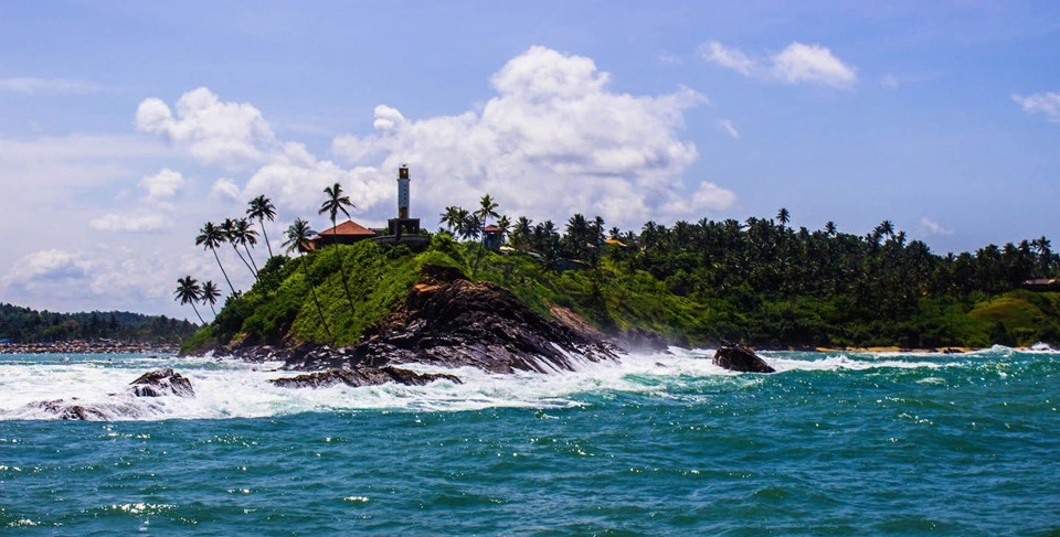 Dondra Head, điểm cực nam Sri Lanka có ngọn hải đăng cao nhất nước là địa điểm lý tưởng cho bạn ngắm loài cá voi xanh khổng lồ ngay trước mắt. Từ tháng 1-4 hàng năm, những chú cá voi xanh trên tuyến đường từ vịnh Bengal đến Tây Ấn Độ Dương thường di chuyển qua vùng biển này để "no bụng" với nguồn nhuyễn thể phong phú ở đây, nhờ cả trăm dòng sông Sri Lanka góp vào. Ảnh: Our Global Trek. Dondra Head, điểm cực nam Sri Lanka có ngọn hải đăng cao nhất nước là địa điểm lý tưởng cho bạn ngắm loài cá voi xanh khổng lồ ngay trước mắt. Từ tháng 1-4 hàng năm, những chú cá voi xanh trên tuyến đường từ vịnh Bengal đến Tây Ấn Độ Dương thường di chuyển qua vùng biển này để "no bụng" với nguồn nhuyễn thể phong phú ở đây, nhờ cả trăm dòng sông Sri Lanka góp vào. Ảnh: Our Global Trek.