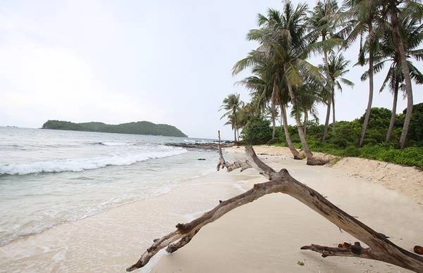 Bãi biển dài, sóng nhẹ, nước trong, bãi đá đua ra biển cạnh hàng dừa Trên đảo có một hộ gia đình sẵn sàng phục vụ ăn uống và nghỉ cắm trại khi khách có nhu cầu. Nếu có thời gian ở lại đây, du khách có thể trải nghiệm lặn bắt nhum (cầu gai) dưới rạn san hô, câu mực, câu cá rất thú vị do chính người dân tại đảo cho mượn thiết bị lặn và hướng dẫn.