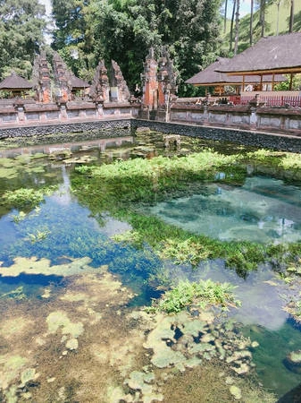 di-bali-ngay-thoi-khong-chi-co-bien-bali-con-co-nhieu-dieu-thu-vi-hon-the-ivivu-29