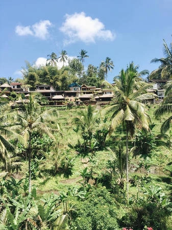 di-bali-ngay-thoi-khong-chi-co-bien-bali-con-co-nhieu-dieu-thu-vi-hon-the-ivivu-24