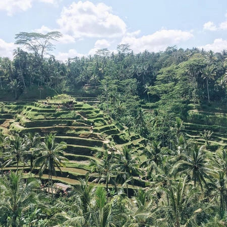di-bali-ngay-thoi-khong-chi-co-bien-bali-con-co-nhieu-dieu-thu-vi-hon-the-ivivu-23