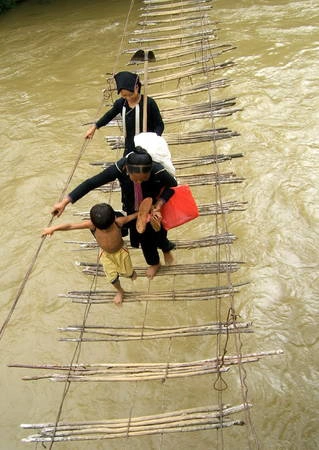 Dù là người hay động vật, chỉ cần bất cẩn là mất mạng như chơi. Ảnh: doisongphapluat