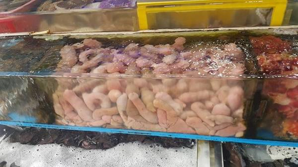 Một điều được du khách ưa thích chính là không gian trong lành và không bị sặc mùi tanh của cả khu chợ cá. Một điều được du khách ưa thích chính là không gian trong lành và không bị sặc mùi tanh của cả khu chợ cá.