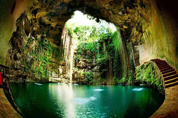 Ảnh: Nature Tours Ảnh: Nature Tours