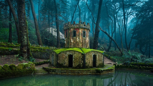 Ảnh: At Portugal Tours Ảnh: At Portugal Tours