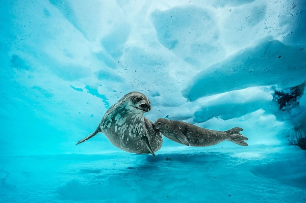Ảnh: National Geographic Ảnh: National Geographic