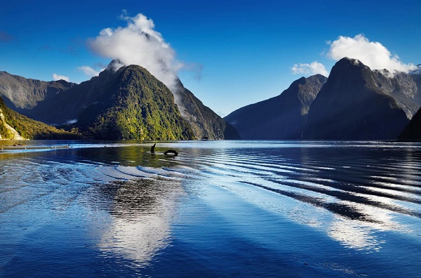 Ảnh: Lonely Planet Ảnh: Lonely Planet