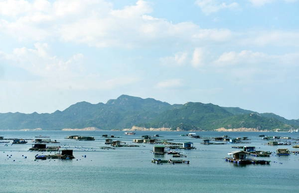 Bè nổi nuôi hải sản của các ngư dân trên đảo - Ảnh: DUYÊN PHAN Bè nổi nuôi hải sản của các ngư dân trên đảo - Ảnh: DUYÊN PHAN